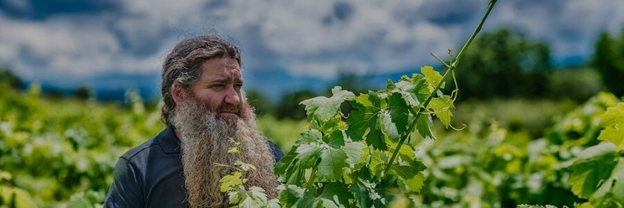 Weingut Raúl Pérez