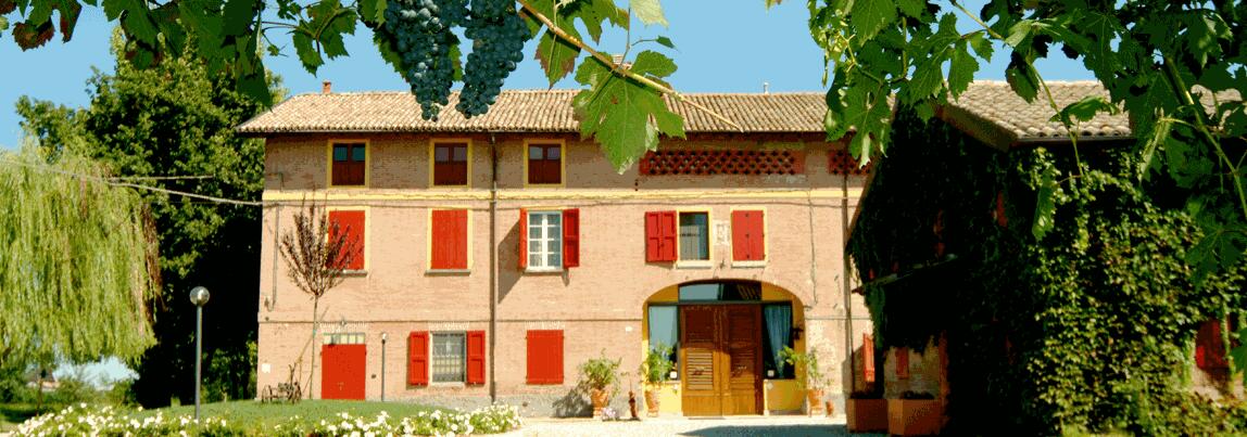 Azienda Vinicola Bove