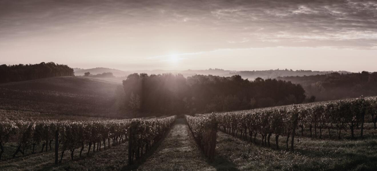 Weingut R & A Pfaffl GmbH & Co Kg