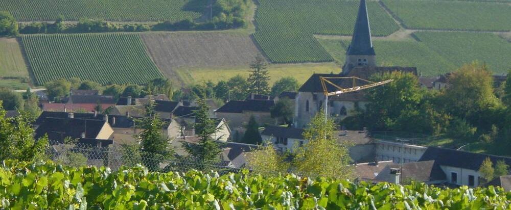 Domaine Alain Geoffroy