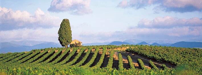 Domaine de Bordeneuve