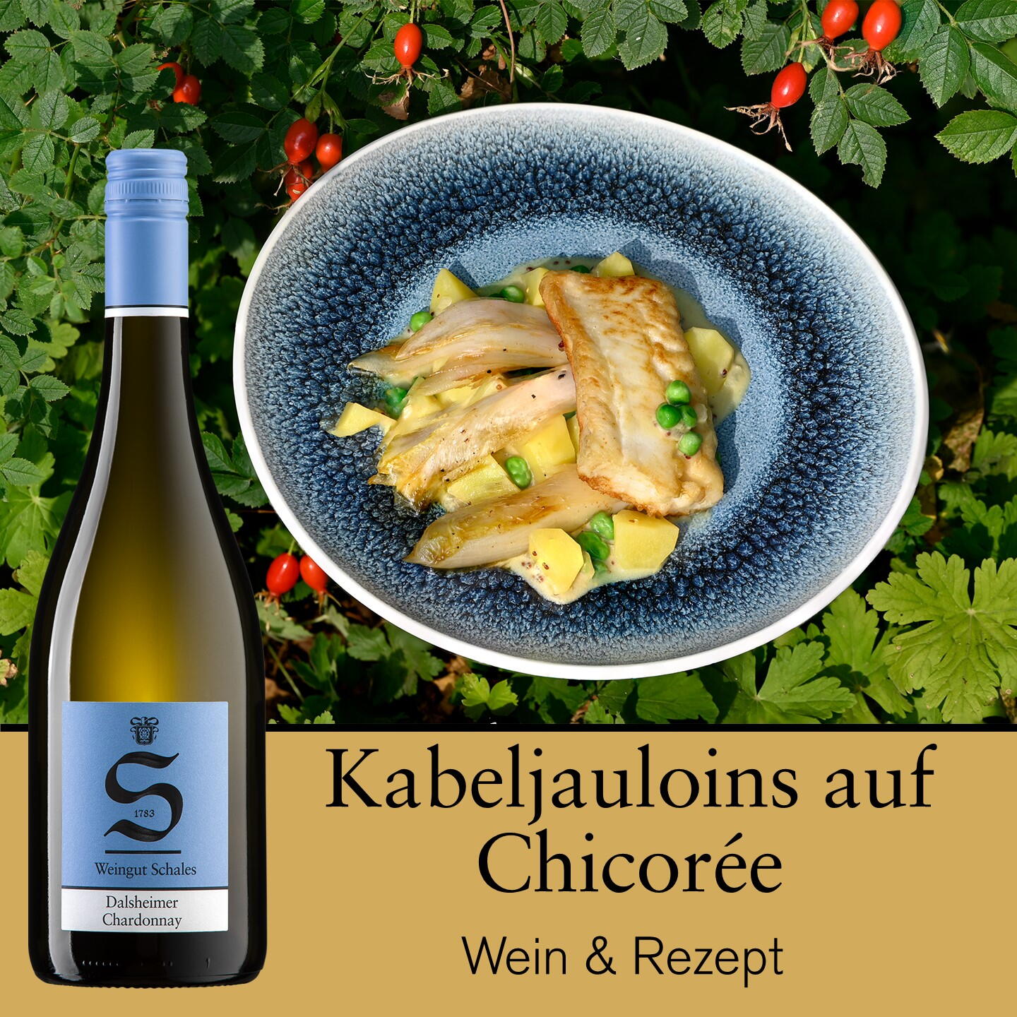 Rezept-Tipp | März 2026 (R003)