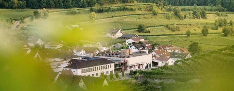 Achkarrer Winzer am Schlossberg eG