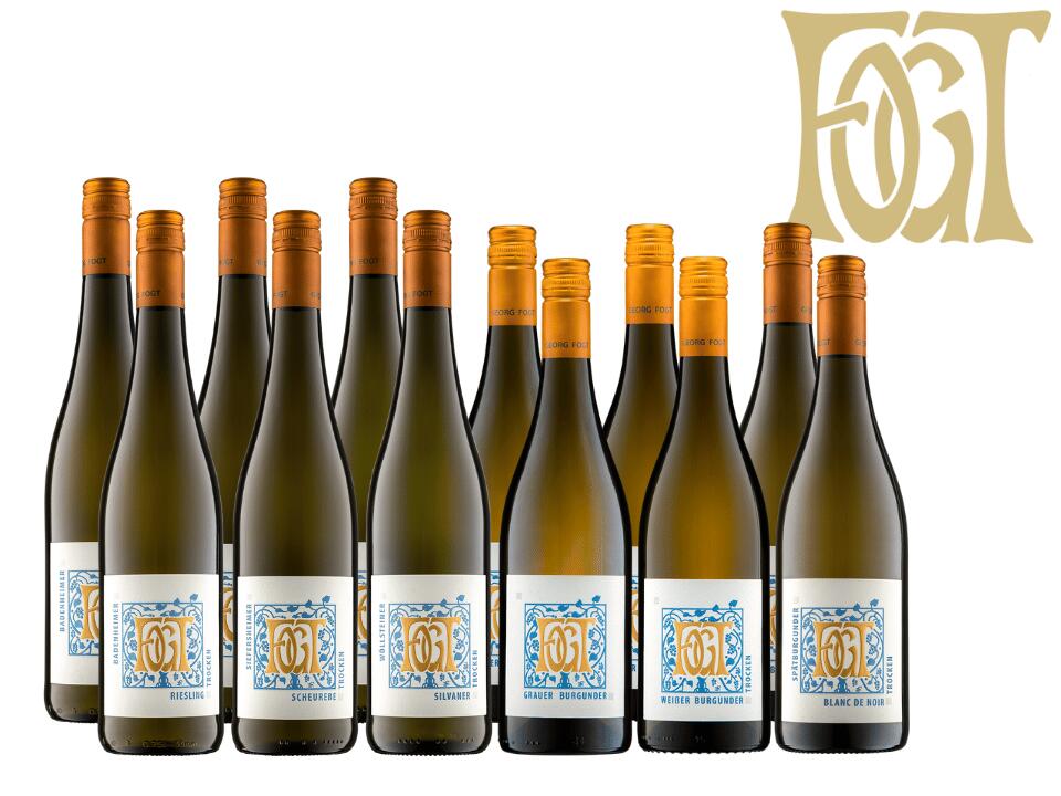 PROBIERPAKET | 2024