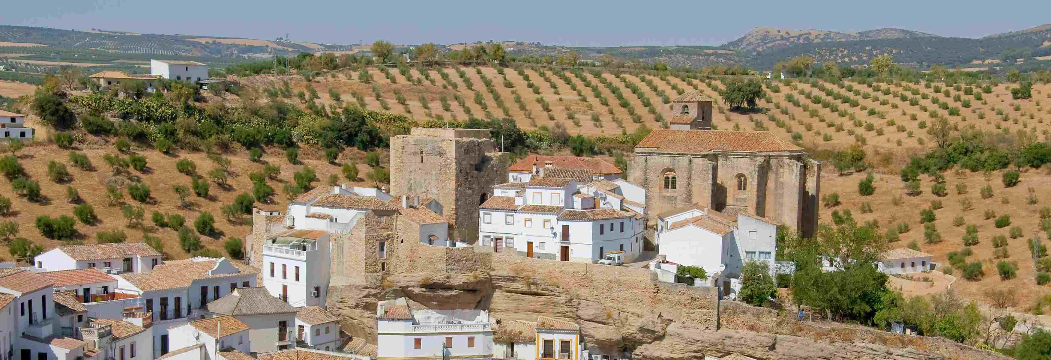 Bodegas Francisco Casas