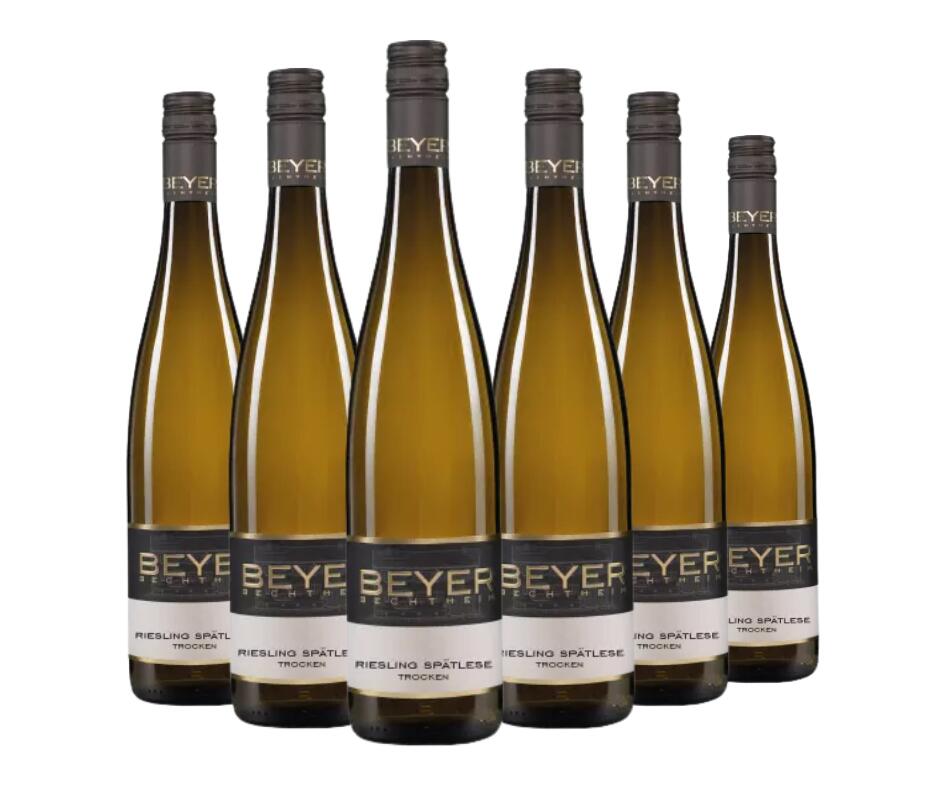 Online Aktion! 2020 Riesling Spätlese trocken