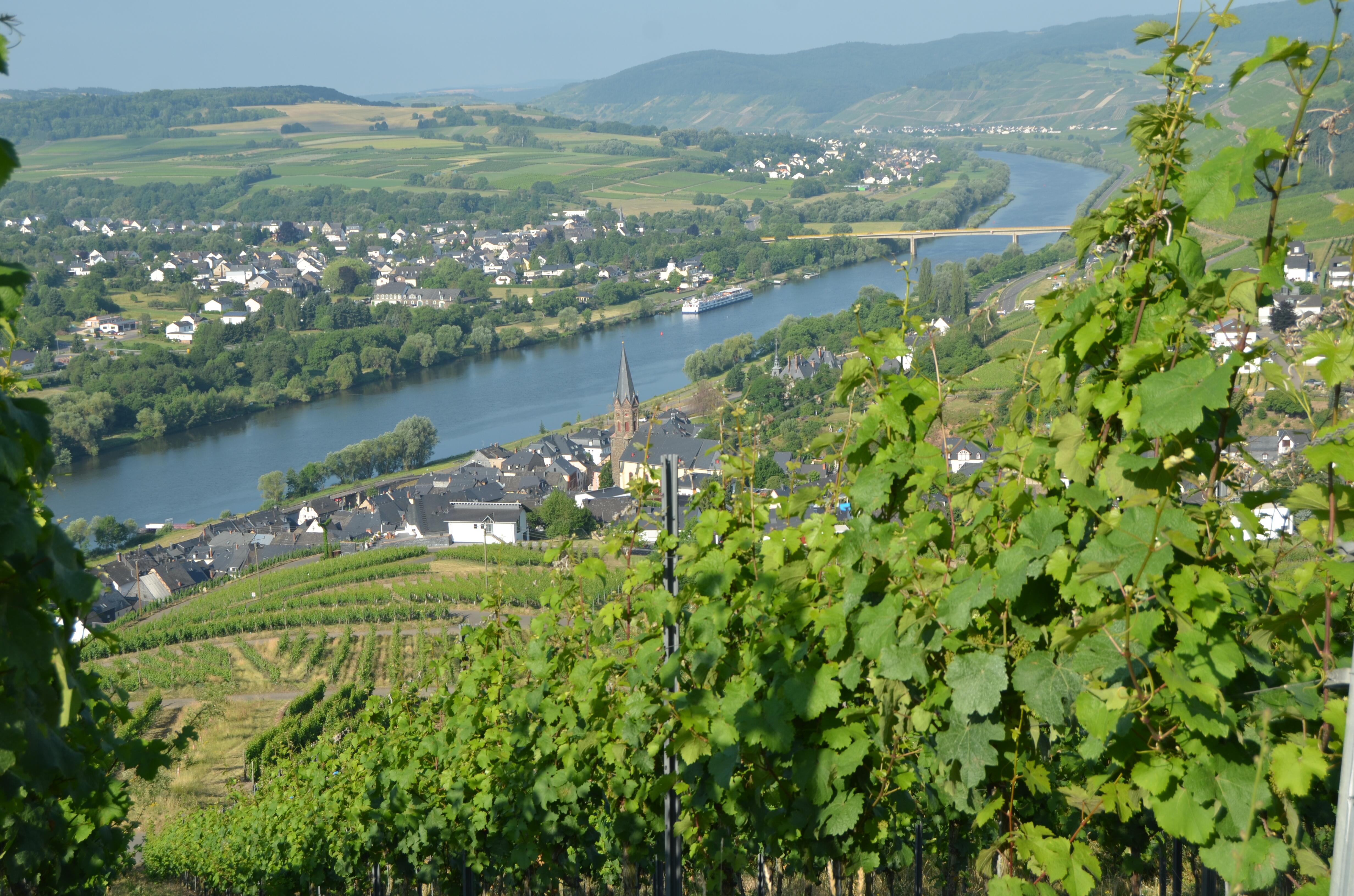 Weingut Gindorf