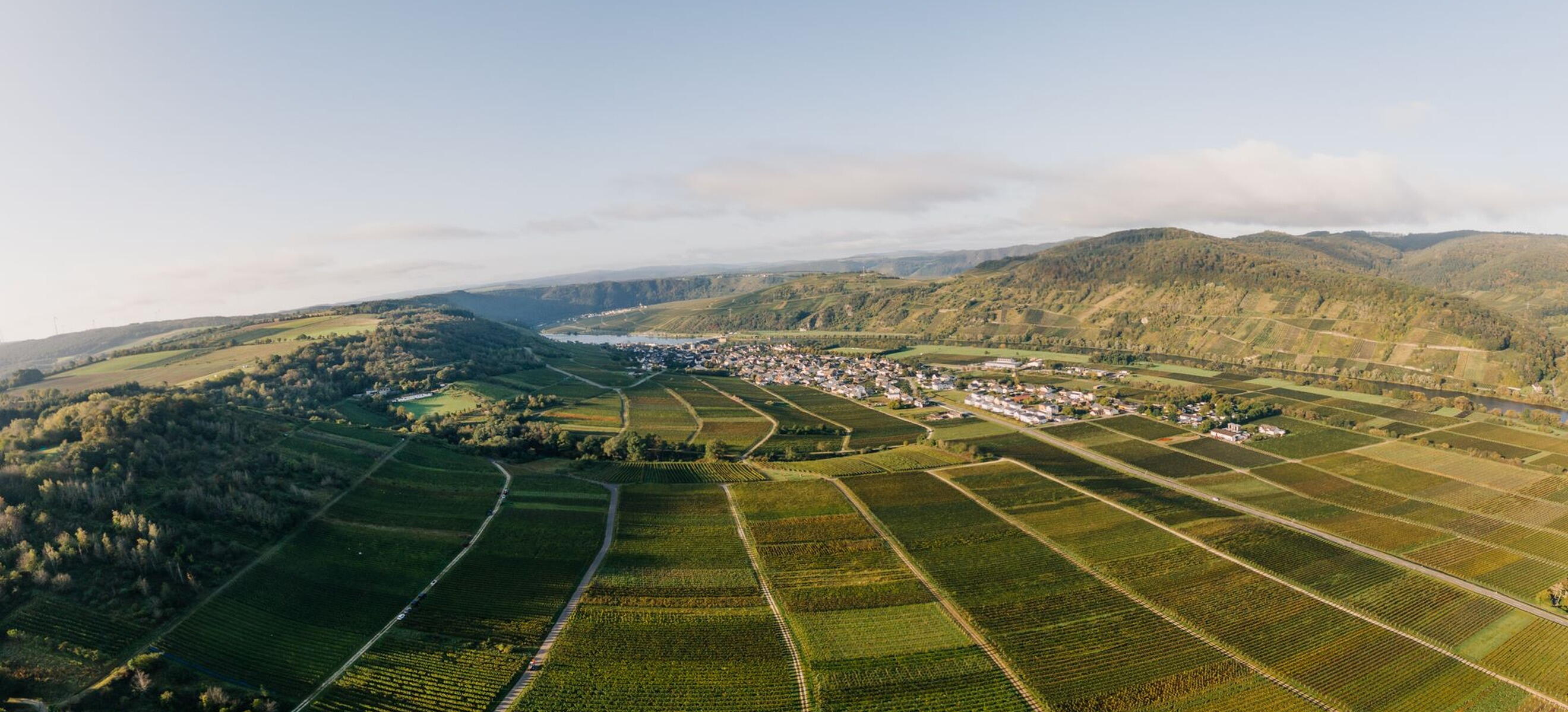 Weingut Quint 