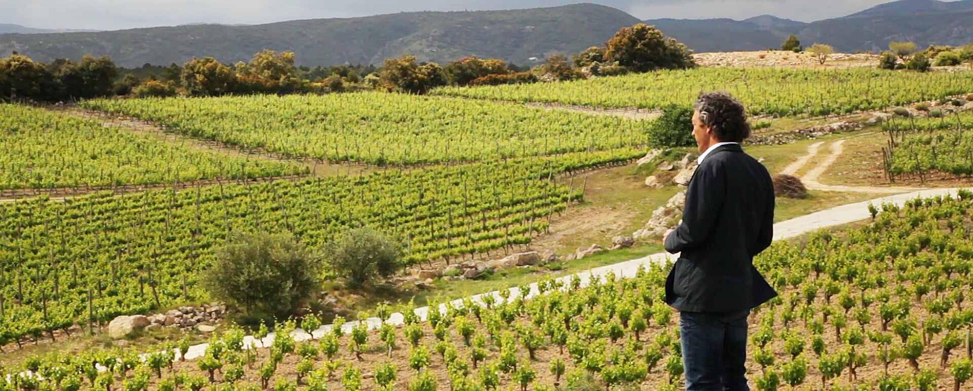 Weingut Domaine Gerard Bertrand