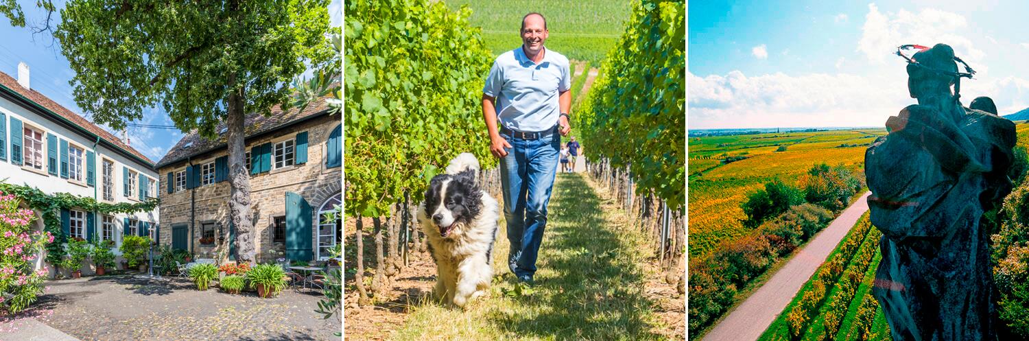 Weingut Eugen Spindler-Lindenhof