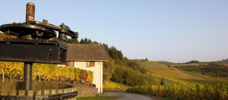 Weingut Simonshof