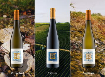 Rieslingreise-Paket Muschel Stein Vulkan