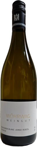 2025 Sauvignon Blanc trocken >Junge Reben<- Bio-
