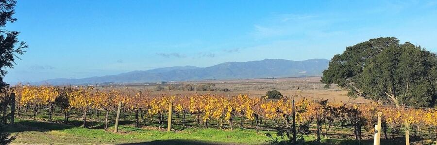 Weingut Talbott Vineyards