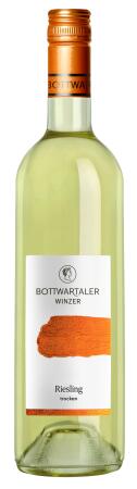 2021 Basic Riesling QbA trocken Großbottwarer Lichtenberg