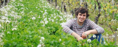 Weingut Stefan Müller