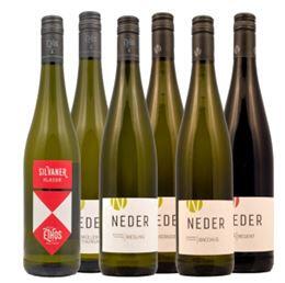 Paket 2: Rebsortenweine trocken inkl. Versand