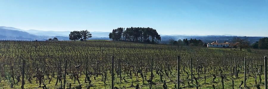 Weingut Quinta da Lomba