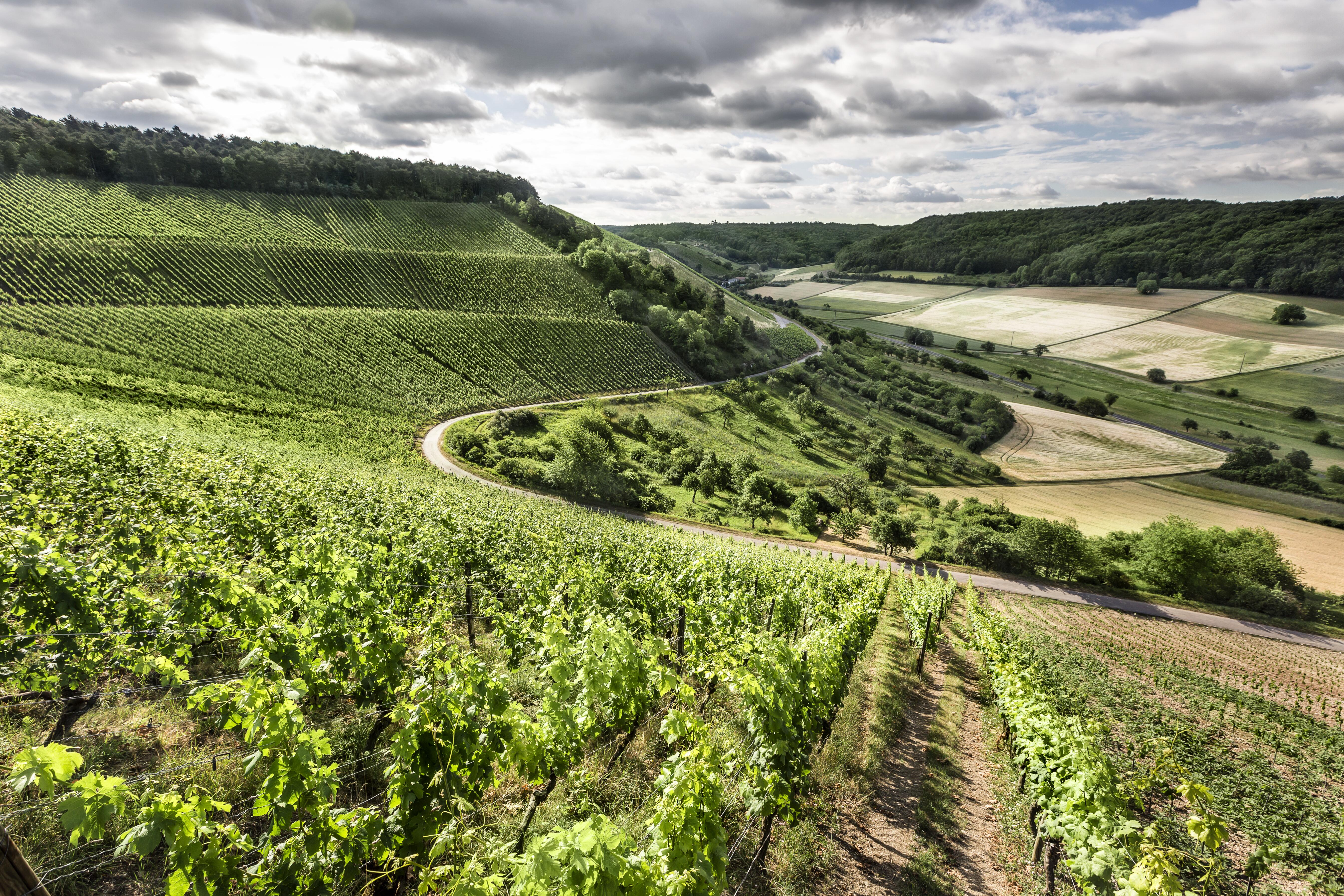 Weingut Neder