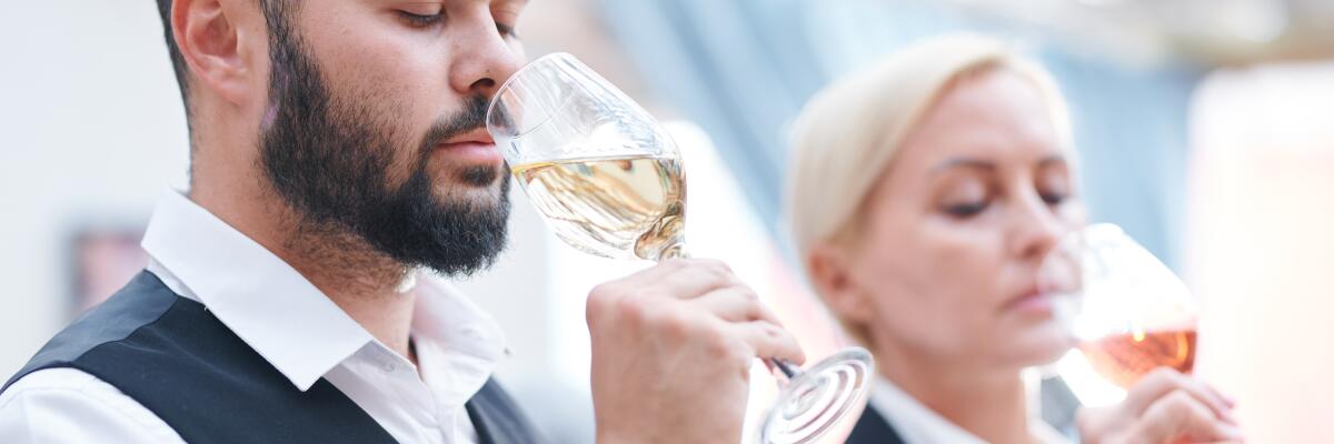 Fruchtfliege im Glas – warum riecht mein Wein plötzlich anders?
