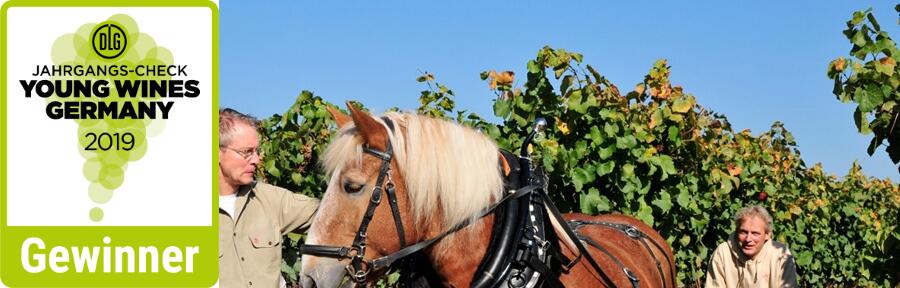 August Ziegler Weingut KG