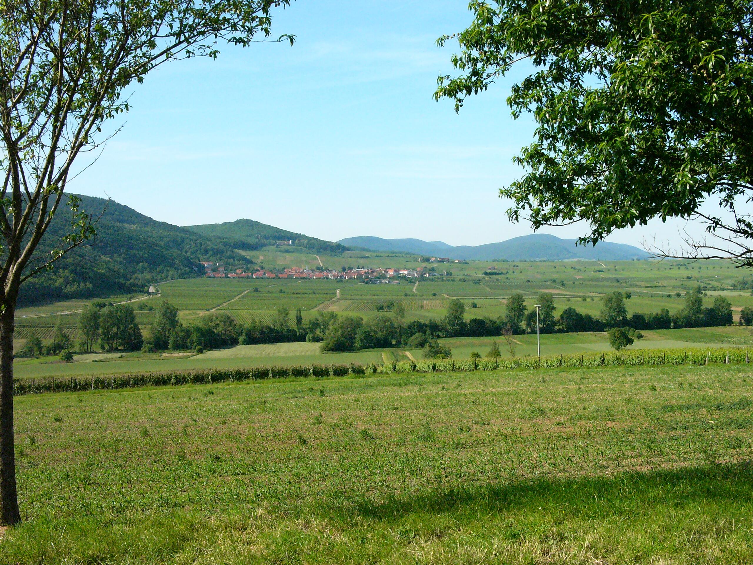 Weingut Bender