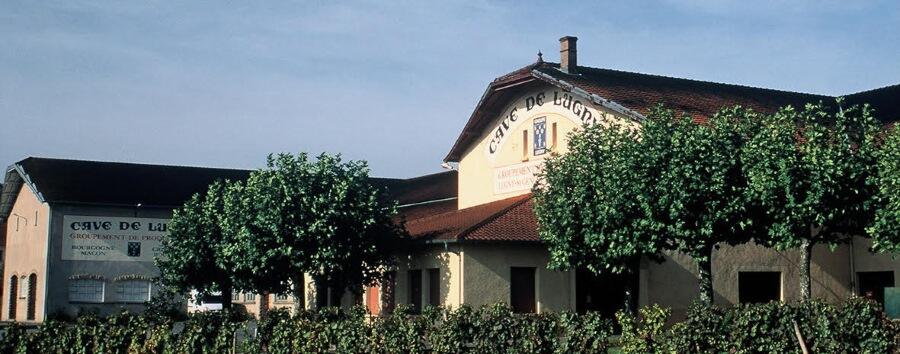 Weingut Cave de Lugny