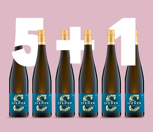Siener - Birkweiler Mandelberg Sankt Laurent QbA trocken 5+1 Weinpaket