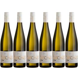 2019 Riesling - Zahle 5 - nimm 6 Weingut Rainer und Tobias Becker