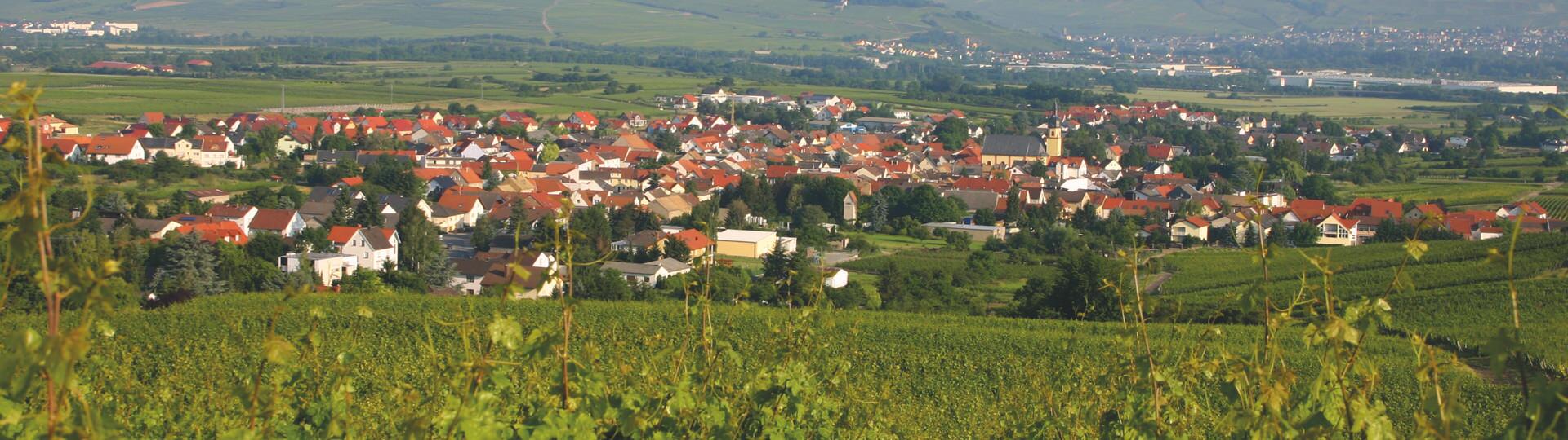 Weingut Feser