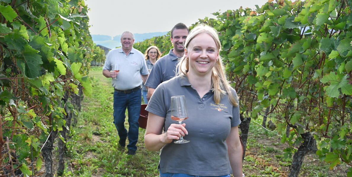 Weingut Stefan Sauer