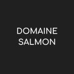 Logo von Domaine Salmon, Loire - Frankreich