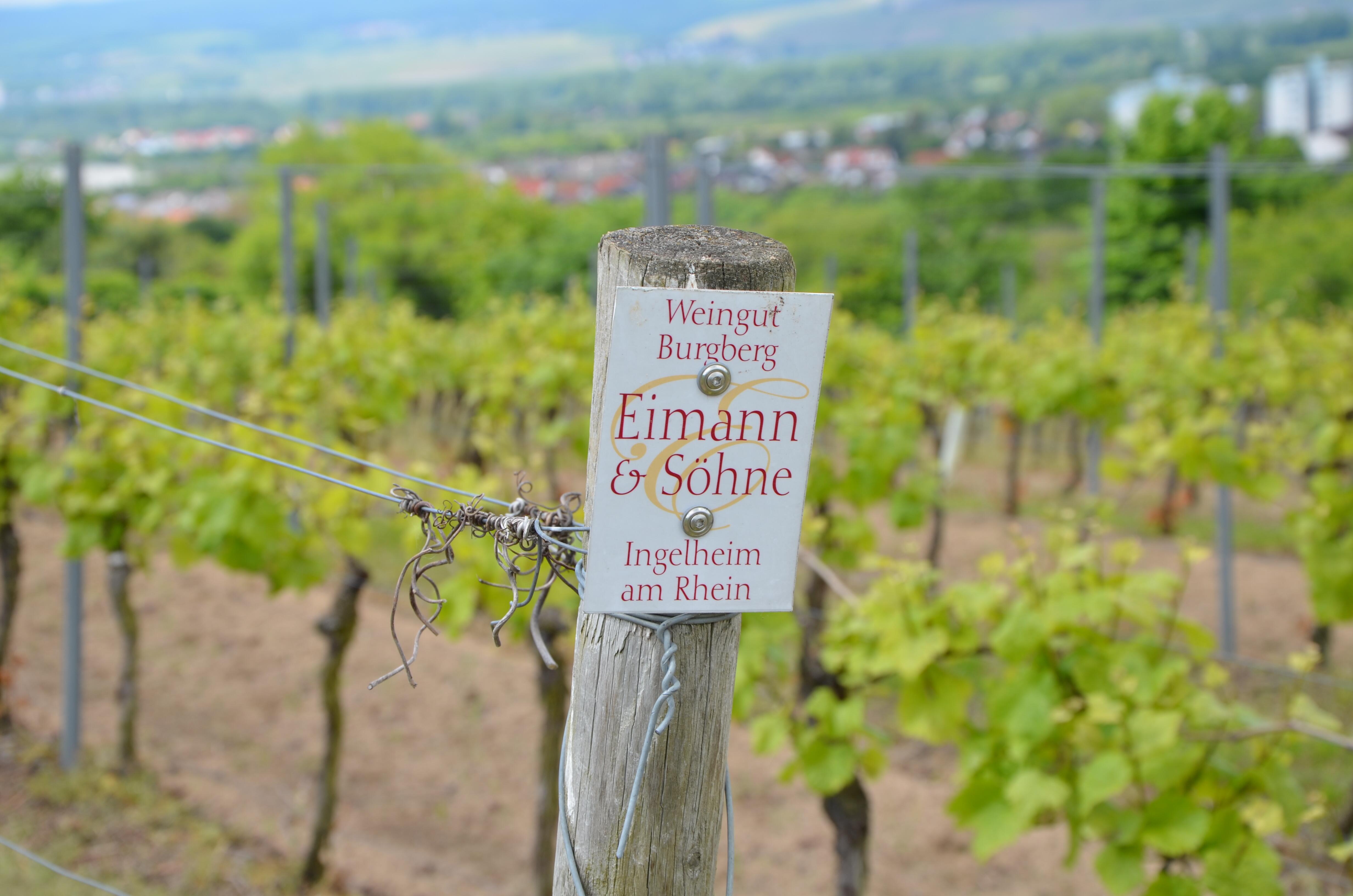 Weingut Burgberg Eimann & Söhne