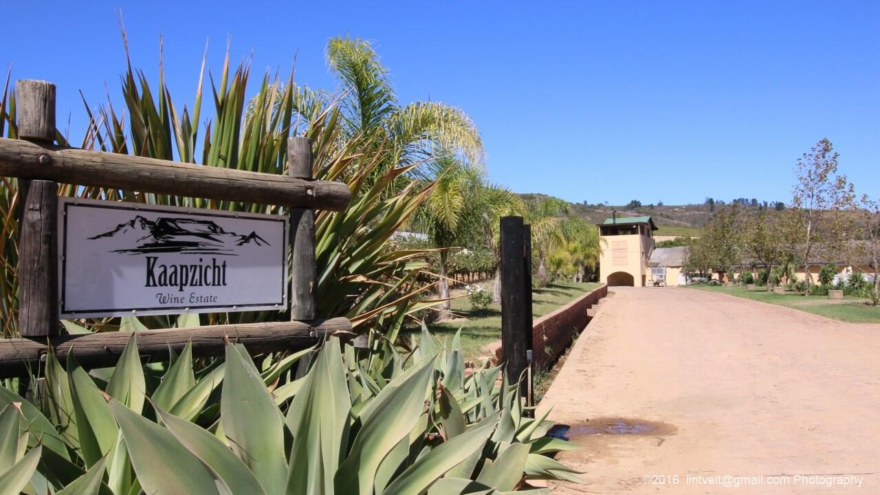 Weingut Kaapzicht