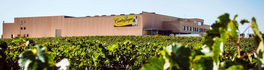 Cuatro Rayas DOPPELT mit Weinlager 1