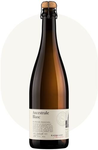2022 Ancestrale Blanc - Brut