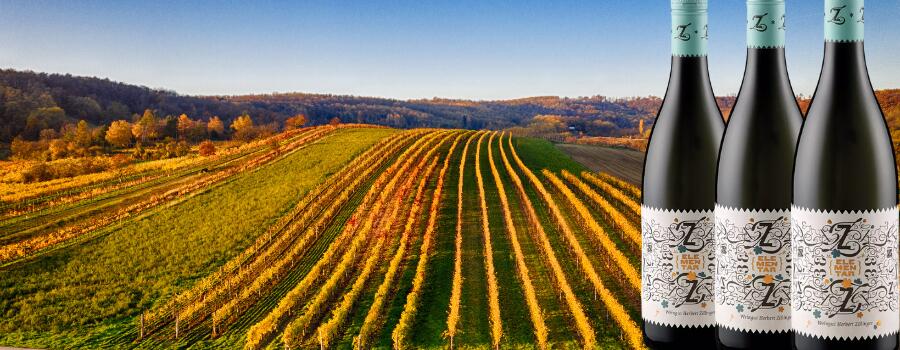 Weingut Herbert Zillinger