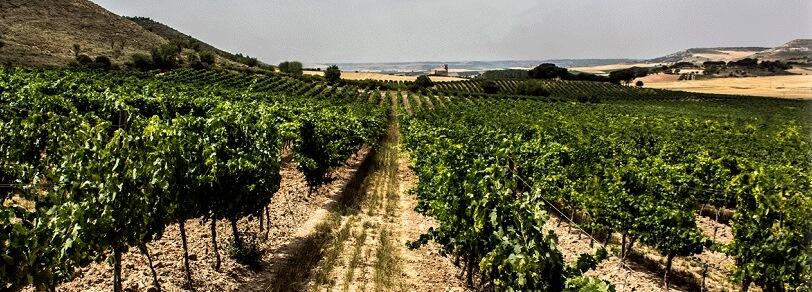 Bodegas Valtravieso