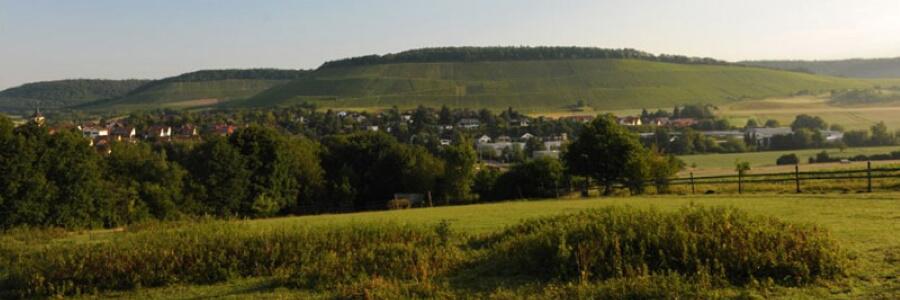 Weingut Sonnenhof (Württemberg)