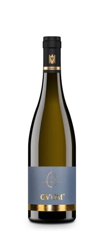 2019 "OVUM" Sauvignon Blanc trocken - Limitiert 1Fl./Kunde