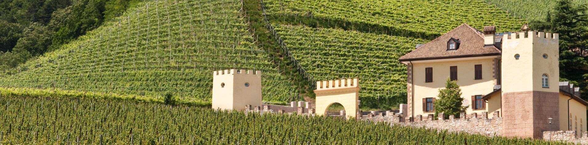 Weingut J. Hofstätter