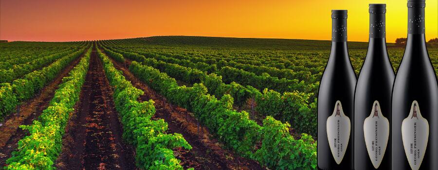 Weingut Georg Preisinger