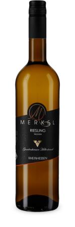 2024 Riesling "Gundersheimer Bergkloster"