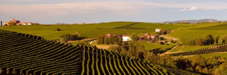 Weingut Cantine San Silvestro