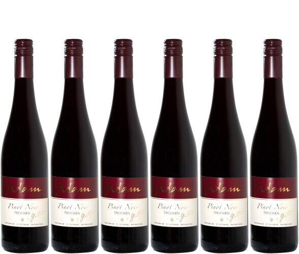 2018 Pinot Noir Gutswein Verpackungseinheit