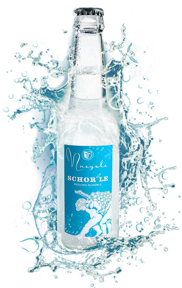 Naegele's SCHOR-sch-LE