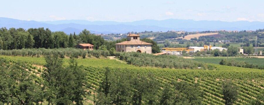 Weingt Castello Di Lucignano