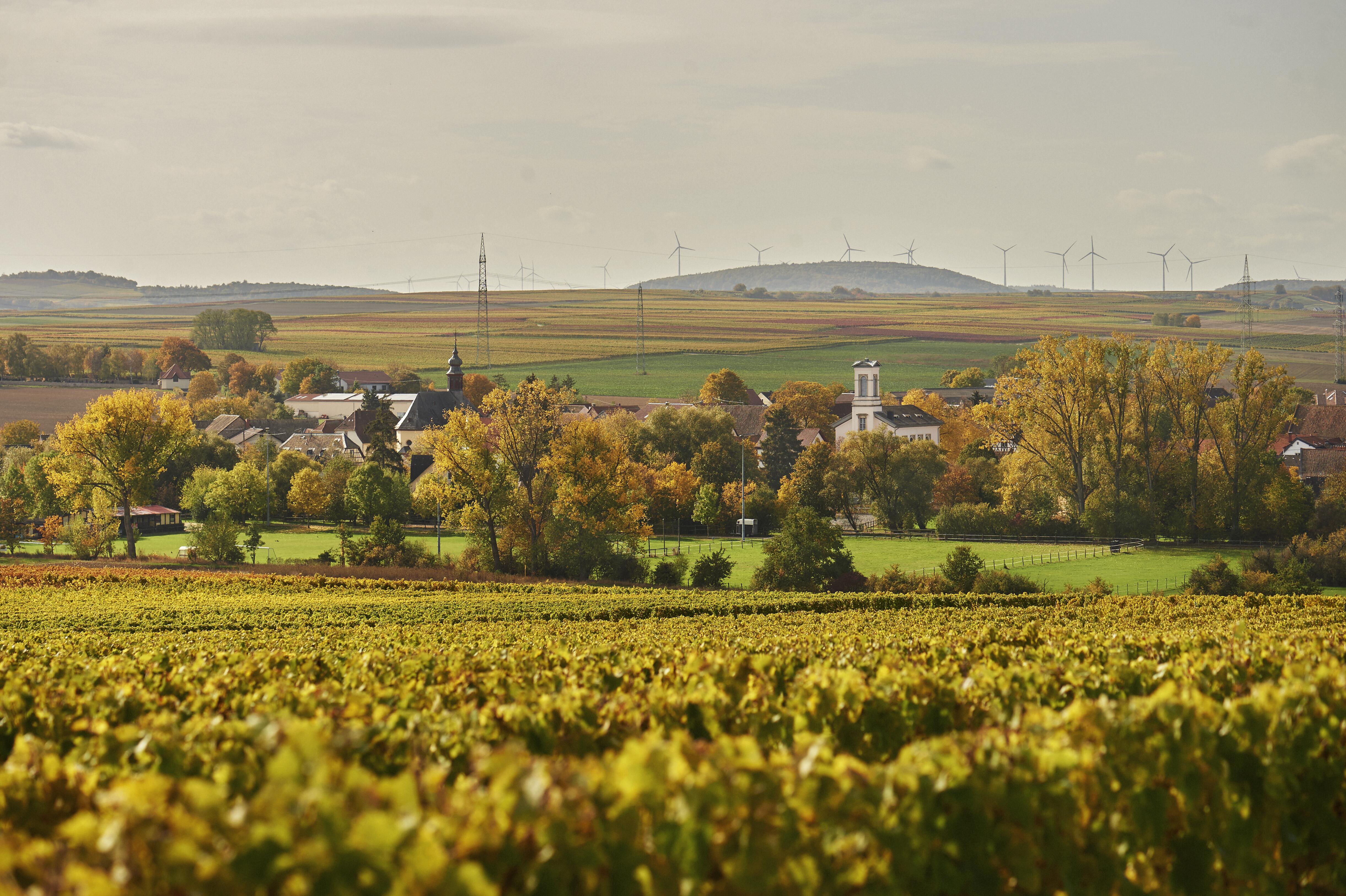 Weingut Fogt GbR