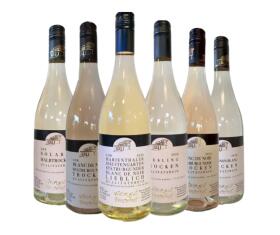 Kennenlern-Paket Weingut Försterhof