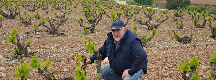 Weingut Hacienda Grimón